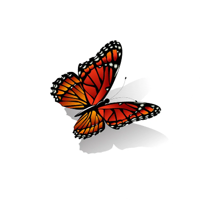 C:\Users\School\Desktop\РОЗРОБКИ\картинки\depositphotos_89311254-stock-illustration-the-monarch-butterfly-vector.png